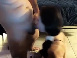 Sissy Blowjob